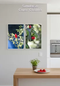 Quadro Decorativo para a Cozinha Díptico Pimenta e Pitanga