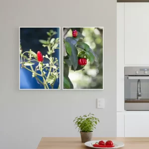 Quadro Decorativo para a Cozinha Díptico Pimenta e Pitanga