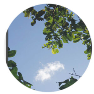 Quadro Decorativo
